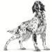 Royal Canin Expert Adult | Pack of 4 | 4 x 12 x 100 g | Complete Food for Adult Dogs | to Maintain an Ideal Weight | to Support the Health of Dogs - Buy Online on GoSupps.com