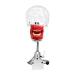 Dental Teaching Simulator Manikin Phantom Head Model Plastic Educational Teeth Model Fix on (Table Type) - Buy Online on GoSupps.com
