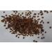 Black cohosh - Buy Online on GoSupps.com