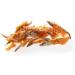Dokas Kausnack Chicken Breast & Fish - Double Pack (2x220g) | Delicious Air-Dried Dog Treats | Perfect Rewards Between Meals - Buy Online on GoSupps.com