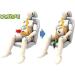 Insafe Pregnancy Car Belt | ECE R16 Certified | Protects Unborn Child & Ensures Comfort for Moms - Buy Online on GoSupps.com