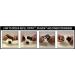 Hair Genetics Advanced Hair Building Fibres Large 50g Refill Pack - Dark Brown | 50.00g Pack - Buy Online on GoSupps.com