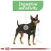Royal Canin Digestive Care Adult Wet Dog Food 85g (Pack of 24) - Buy Online on GoSupps.com