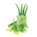 Buy Cuddly Soft Fabric Softener with Aloe Vera - Dermatologically Tested Eco-Friendly 1L for Up to 38 Washes - Buy Online on GoSupps.com