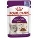 Royal Canin Sensory Taste in Jelly Wet Cat Food 85g (Pack of 48)