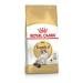 Royal Canin Ragdoll Adult Dry Cat Food 2kg (Pack of 2)