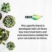 Succulent & Cacti Plant Food | Ideal for Indoor Gardening | Long-lasting Formula (8oz) - Buy Online on GoSupps.com