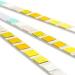 Pet Urine Test Strips - 100 x Urinalysis Parameter Tests for Dogs, Cats, Vets & Animals - Buy Online on GoSupps.com