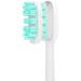 MI Electric Toothbrush Head 3-Pack - Regular | Replaceable Brush Heads - Buy Online on GoSupps.com