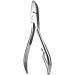 Piglet Teeth Cutter  12cm/4.7in Stainless Steel Tooth Cutter Scissor Pig Tooth Nipper Piglets Teeth Clipper - Buy Online on GoSupps.com
