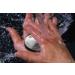 Buy Zilofresh 15003 Stainless Steel Soap - International Shipping Available | Best Odor Eliminator for Home & Kitchen - Buy Online on GoSupps.com