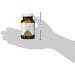 Maharishi Ayurveda Vegan Amrit Kalash Ambrosia - Natural Antioxidant Supplement for Brain Health Immunity & Vitality (60 Tablets) - Vegan & Full-Spectrum - Buy Online on GoSupps.com