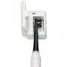 Wlauqueta Electric Toothbrush Sanitizer - Travel-Friendly Sterilization (99.9% Effectiveness) - Buy Online on GoSupps.com
