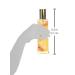 Bodycology Toasted Sugar Fragrance Mist for Women - 8 Fl Oz | Long-Lasting Scent - 455004008 - Buy Online on GoSupps.com