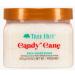 Tree Hut Holiday Candy Cane Shea Sugar Scrub 18 oz (SET OF 2) 1.12 Pound (Pack of 2)