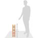 Prevue Pet Products 15-Rung Wood Bird Ladder - Multi-Color | Best Price & Quality - Buy Online on GoSupps.com