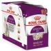 Royal Canin Sensory Mixed Pack in Gravy 12 x 85g (4 x Smell/4 x Taste/4 x Feel) - Buy Online on GoSupps.com