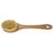 The Body Shop Cactus Body Brush