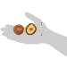 Yutaka Dried Shiitake Mushrooms 30g - Premium Quality Japanese Ingredients - Buy Online on GoSupps.com
