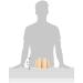 Eliga Light Set Small - Premium Quality & International Shipping Available | Illuminate Your Space - Buy Online on GoSupps.com