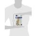 Truform 20-30 mmHg Thigh High Compression Stockings for Men & Women - Open Toe Beige Small (Pack of 2) International Shipping Available - Buy Online on GoSupps.com