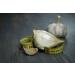 Organic Fresh Garlic Elephant Seeds - Grow Your Own Garlic Harvest 2020 - Buy Online on GoSupps.com