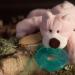 WubbaNub Pink Bear Infant Pacifier | Best Soothing Toy for Babies - Buy Online on GoSupps.com