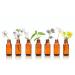 Carrot seed oil 5ml by Dragonspice Naturwaren 5ml