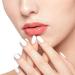 Professional Travel Lip Brush - Vegan Cruelty Free Makeup Applicator for Lipstick & Gloss - Black Cosmetic Tool Kits - Buy Online on GoSupps.com