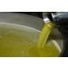 Extra virgin olive oil from Morocco first cold pressed 700 ml Zero Pesticide residue unfiltered unmixed - Buy Online on GoSupps.com