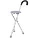 Dr.Safe Cane Cane with seat Folding Stick with seat. Aluminum Folding Cane seat Height 84.5 cm Silver Color - Buy Online on GoSupps.com