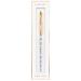 Kiara Sky EMA Liquid Monomer & 100% Kolinsky Brush Duo - 16 fl oz Monomer + Size 10 Brush - Perfect Nail Art Starter Set - Buy Online on GoSupps.com