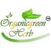PUB Organicgreen Herb Indra Jau -400GM | Indrajav | Inderjo indrajau Kadwa Holarrhena Pubescens - Buy Online on GoSupps.com