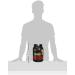 Optimum Nutrition 100% Whey Gold Standard - 2 lb French Vanilla Creme | Buy Internationally - Buy Online on GoSupps.com