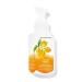 Buy Bath and Body Works Foaming Hand Soaps - Set of 5 Gentle Foaming Soaps (Fruits & Toast) | International Shipping Available - Buy Online on GoSupps.com