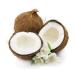 Fresh Coconuts (Set Of 3)