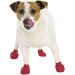 Pawz dog boots Small - Buy Online on GoSupps.com