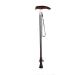 Canes Travel Adjustable Walking Canes and Walking Sticks for Men and Women Star of Light