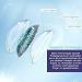 Buy Charmiga Gleam Violet Colored Contact Lenses - Annual Soft Hydrogel | 0.0 Diopters | 2 Pieces + Lens Containers | Natural Purple Color - Buy Online on GoSupps.com