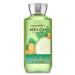 Bath & Body Works - Cucumber Melon - 3 pc Bundle - Buy Online on GoSupps.com