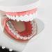 Orthodontic Stainless Steel Tooth Mirror for Intraoral Photography - U.S. Delivery in 5 Days - Buy Online on GoSupps.com
