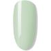 BLUESKY Endless Summer Collection - Gel Nail Polish for Shiny and Beautiful Nails | Long Lasting of up to 3 Weeks (Mint Convertible 80569) - Buy Online on GoSupps.com