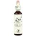  Bach Bach Wild Oat 20ml - Buy Online on GoSupps.com