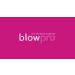 Buy Blowpro Pink Edition Dryer - Fast Drying Non-Slip Grip 3 Settings 1875W Titanium Technology - Buy Online on GoSupps.com