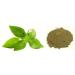 Aapkidukan Tulsi Powder/ Holy Basil Powder /Tulsi Leaves Powder/Tulsi Patta Powder - 100 gm