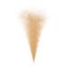 Younique Touch Spray Foundation SATIN - Medium with Warm Undertones 1.6 Fl Oz - Buy Online on GoSupps.com