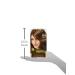 L'Oreal Superior Preference Hi-Lift Color + Shine System UL51 Natural Brown - 1 Application - Buy Online on GoSupps.com