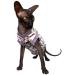 Kotomoda Cat's T-shirt Lilac sculls for Sphynx and naked cats (Small) - Buy Online on GoSupps.com