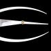 KAMILLEE Golden Mean Calipers - Stainless Steel Eyebrow Ruler for Tattoo Makeup - 1:1.618 Golden Ratio Measure Tool - Buy Online on GoSupps.com