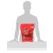 Doritos Nacho Cheese 1oz - 12 Pack | Crunchy Tortilla Chips | Snack Size Pack of 12 - Buy Online on GoSupps.com